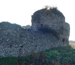 Ruderi delle Terme di Agrippa