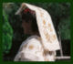 Guidonia-Montecelio