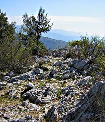 Sulla cima di Monte Sterparo