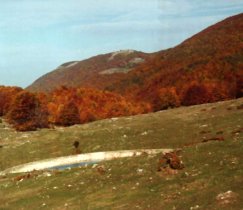 Campo Ceraso