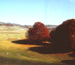 Campo Secco