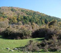Monte Costasole