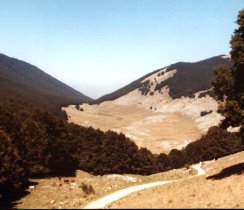 Valle Vona