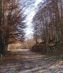 Passeggiando sui Monti Simbruini