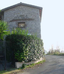 Ex chiesa di S.Maria dell'Oliva