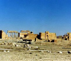 Palmira