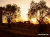 Tramonto a Villa Adriana