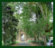 Villa Falconieri "La Rufina"
