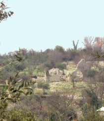 Resti del castrun marcellini