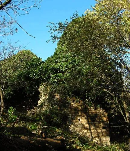 Escursione notturna al Santuario della Dea Bona