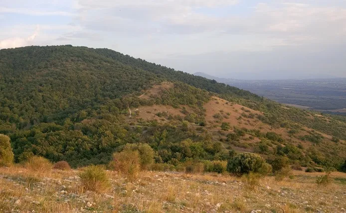 Monte S.Angelo in Arcese visto da Colle Ripoli