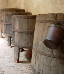 Il vino