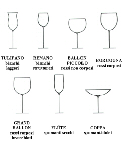 Il vino