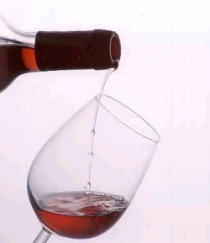 Cantina di vini