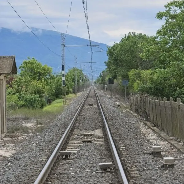 Il viaggio